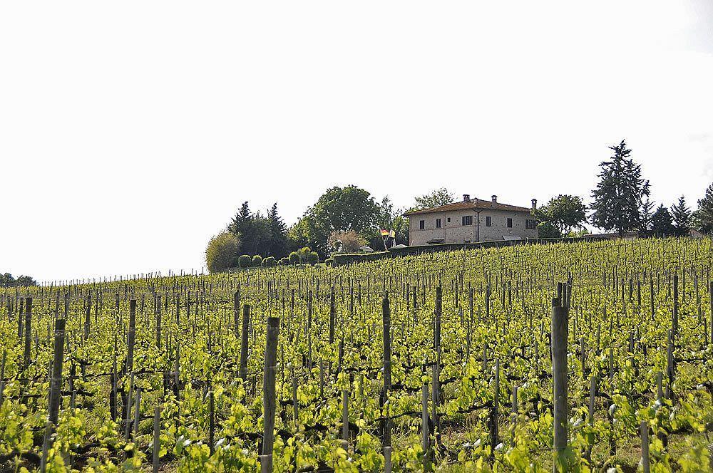 Il Colombaio, Siena -Appartamenti E Camere- Isola d'Arbia Exteriör bild