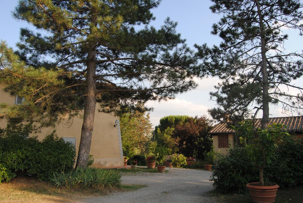 Il Colombaio, Siena -Appartamenti E Camere- Isola d'Arbia Exteriör bild