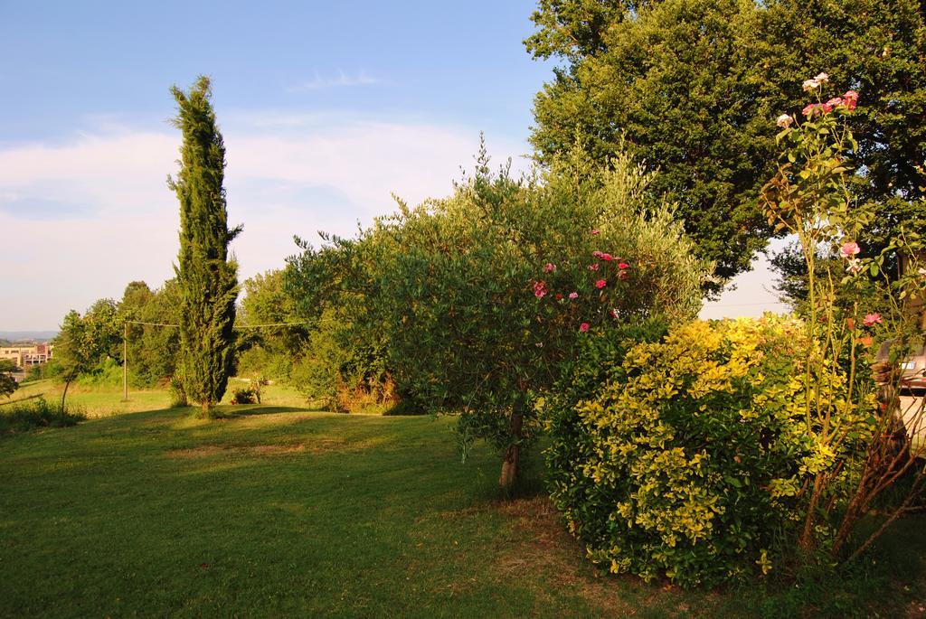 Il Colombaio, Siena -Appartamenti E Camere- Isola d'Arbia Exteriör bild