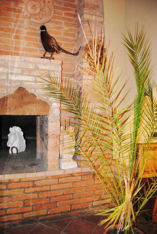 Il Colombaio, Siena -Appartamenti E Camere- Isola d'Arbia Exteriör bild