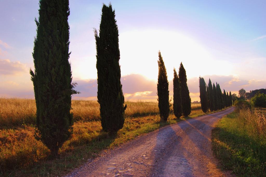 Il Colombaio, Siena -Appartamenti E Camere- Isola d'Arbia Exteriör bild